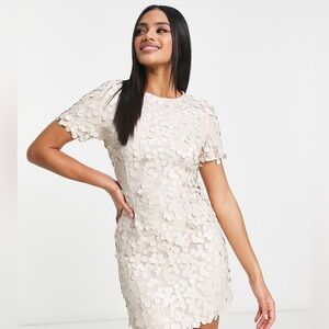 NWT | Collective the Label Disc Sequin Champagne Mini Dress